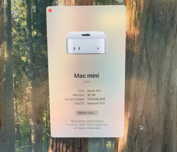 Mac Mini M4 (L24) 16GB / 2TB SSD | Open Box – Never Used!