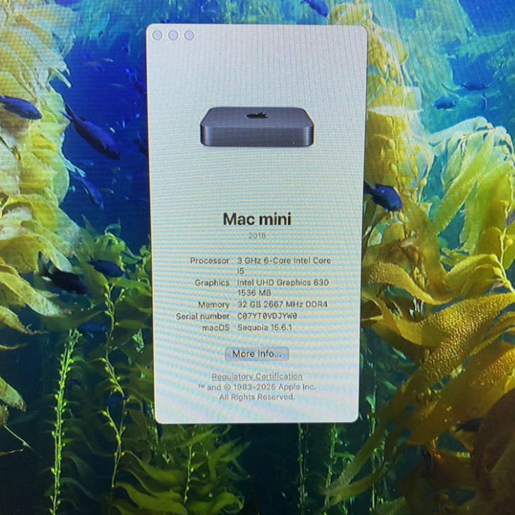 Mac mini | 3.0GHz i5 (6-Core) | 32GB RAM | 256GB SSD